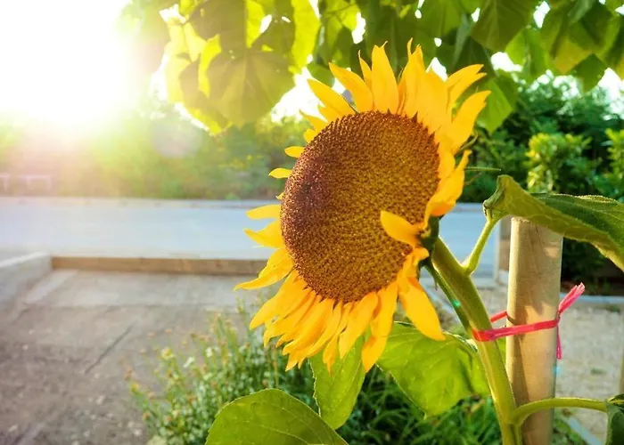 Ivan Experience Backpacker Penzion